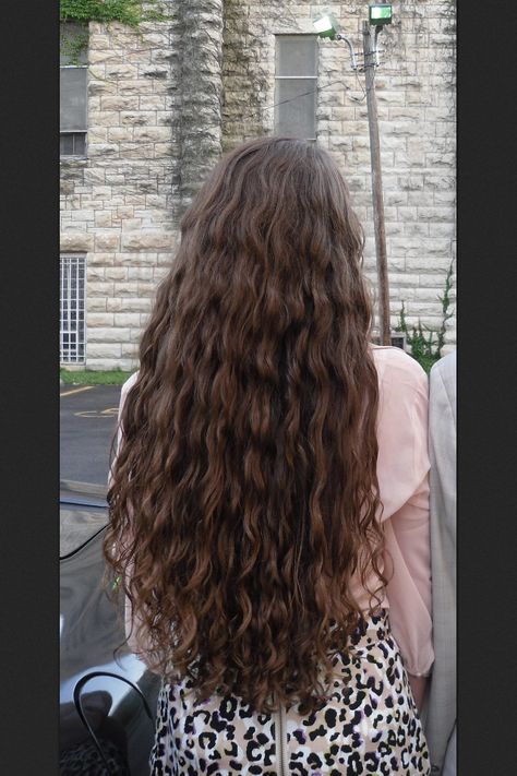 Long Messy Wavy Hair, Long Natural Brown Hair, Naturally Wavy Long Hair, Extra Long Brown Hair, Long Brown Hair Curly, Really Long Curly Hair, Long 2b Hair, Long Naturally Wavy Hair, Long 2c Hair