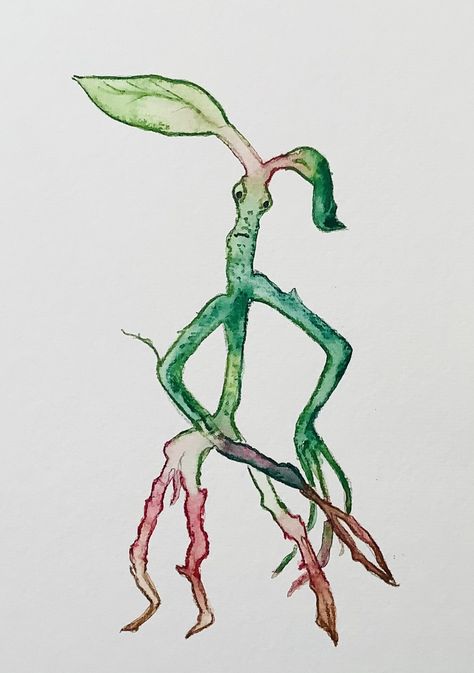 This lesson teaches how to draw Pickett the Bowtruckle from Magical Beasts and where to find them, and to paint it using wonderfully mess-free watercolour pencils, although you can just colour in if you don't have paints! The lesson includes drawing techniques which break the drawing down step by step. The painting is done using watercolour pencils and is explained in the trademark Little Art School 'easy to follow' steps. Harry Potter Sketch, Magical Beasts, Harry Potter Journal, Hp Quotes, Potter Tattoo, Watercolour Pencils, How To Draw Steps, Fantastic Beast, Draw And Paint