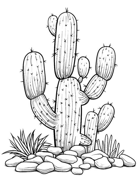 Cactus with Desert Rocks: A cactus surrounded by interestingly shaped desert rocks and pebbles. (Free Printable Coloring Page for Kids) How To Draw A Cactus, Longhorn Skull Drawing, Cactus Drawings, Cactus Sketch, Cactus Outline, Desert Rocks, Desert Scenes, Cactus Printable, Cactus Craft