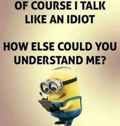 Minions Humor, Funny Minion Pictures, Funny Minion Memes, Understand Me, Minion Pictures, Minion Jokes, A Minion, 21st Quotes, Funny Comebacks