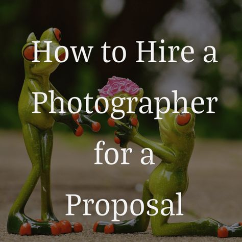 Planning to go down on one knee and proposing to your beloved? You should know how to hire a photographer for a proposal without your fiancé knowing what is going on. To capture the spontaneous outburst of pleasant surprise and warm emotions, you will have to be secretive about hiring a photographer for a proposal. Proposal Dos And Donts, Boyfriend Won’t Propose, How To Propose To A Girl, Unique Ways To Propose, Hidden Photographer Proposal, Suprise Proposal, Surprise Wedding, Surprise Proposal, Wedding Photography