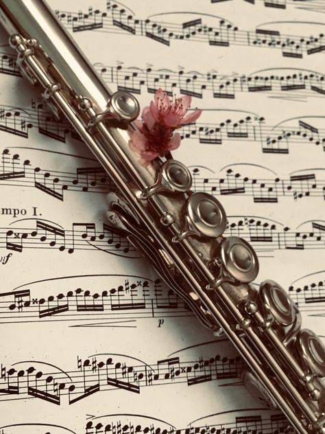 Flute Music Aesthetic, Flute Aesthetic Wallpaper, Flauta Aesthetic, Aesthetic 1800s, Regency Mansion, Flute Aesthetic, Fields Aesthetic, The Viscount Who Loved Me, Bridgerton Icons