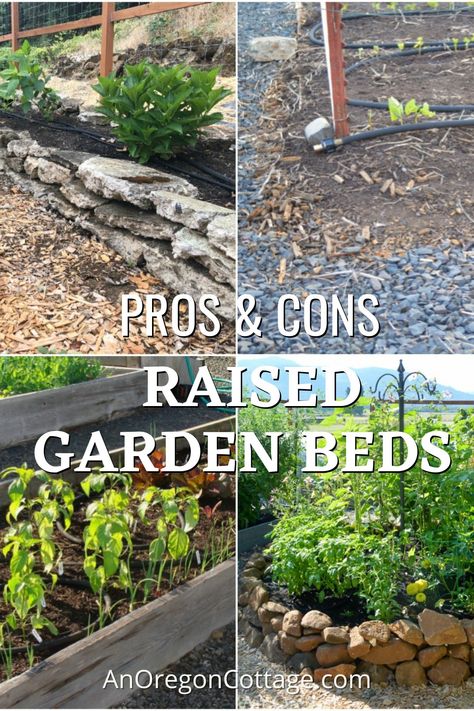 Decorative Retaining Walls, Inexpensive Raised Garden Beds, Oregon Cottage, Broken Concrete, Raised Garden Bed Ideas, Garden Bed Ideas, Hardware Cloth, Pressure Treated Wood, Bed Ideas