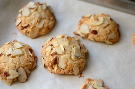 Almond Cookie Recipe, Almond Paste Cookies, Italian Cookie Recipe, Italian Christmas Cookie Recipes, Italian Almond Cookies, Almond Macaroons, Almond Meal Cookies, Almond Cookie, Italian Cookie Recipes