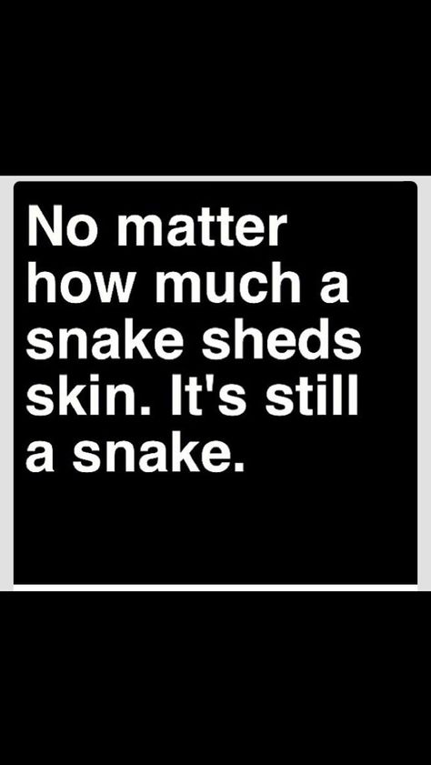 Yep....your a nasty, ugly snake. You think you can talk shit about my family and i wouldnt find out...ha.... dumb bitch you will get whats coming. You should worry about yourself and your many failed relationships before you try to talk shit about whats going on with other people. Hypocracy Quotes, People That Talk About You, Karma Bus, Snake Quotes, Fake Friend Quotes, Fake People Quotes, Fina Ord, Quotes Short, Fake People