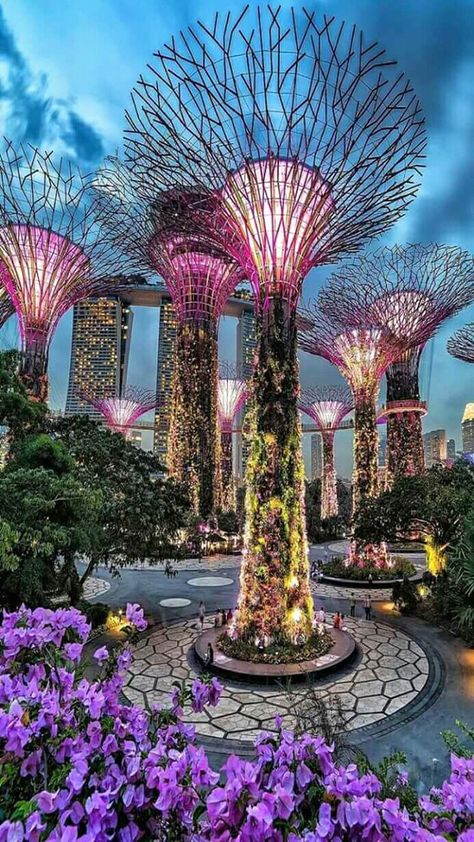 Singapore Garden, Singapore Photos, Singapore City, 카페 인테리어 디자인, Singapore Travel, Gardens By The Bay, Destination Voyage, Beautiful Places To Visit, Asia Travel