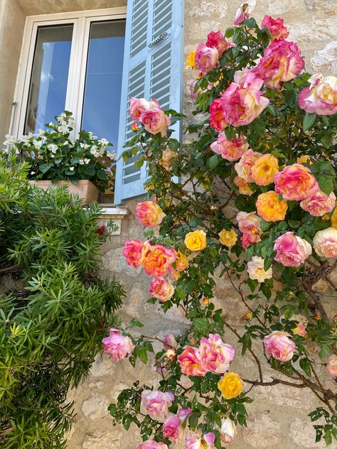 South Of France Flowers, South Of France Decor, Summer In The South Of France Aesthetic, Toscana Aesthetic, South France Aesthetic, Fit Portfolio, South Of France Aesthetic, Downtown Summer, Italian Apartment