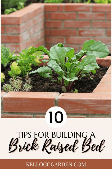 Making A Brick Raised Garden Bed | Kellogg Garden Organics™ Brick Raised Garden Beds, Brick Raised Beds, Brick Flower Bed, Brick Planter, Brick Yard, Building Raised Garden Beds, Recycled Brick, Raised Flower Beds, Sustainable Gardening