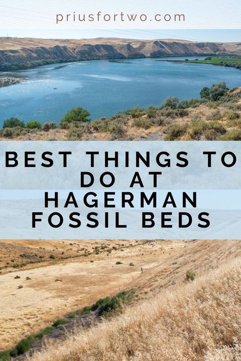 Hagerman Fossil Beds National Monument is a quick, must-see stop in southern Idaho. Check out this ultimate guide of what to do and see. Southern Idaho, National Monuments, Family Time, Idaho, Fossil, Travel Inspiration, Monument, Travel Tips, Bucket List