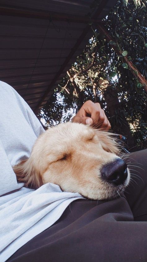 Man And Dog Aesthetic, Man With Dog Aesthetic, महाकाल शिव, Boy Snaps, Dog Snapchats, Night Sky Photography, Best Snapchat, Army Girlfriend Pictures, Crate Cover