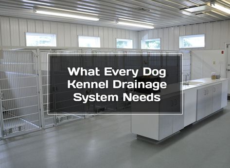 Kennel Designs Ideas, Kennel Drainage System, Kennel Room In House, Dog Rescue Facility Kennel Ideas, Commercial Dog Kennel Designs, Kennel Business Ideas, Dog Daycare Design Floor Plans, Dog Kennel Floor Plans, Dog Kennel Layout