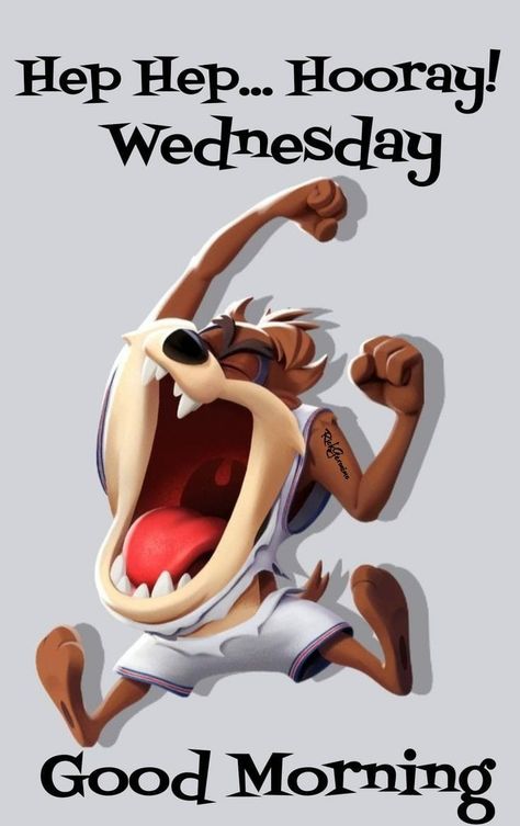 Wednesday Morning Greetings Funny, Good Morning Wednesday Funny, Happy Wednesday Funny, Weekday Humor, Happy Wednesday Morning, Wednesday Morning Images, Morning Funnies, Funny Wednesday Quotes, Wednesday Funny