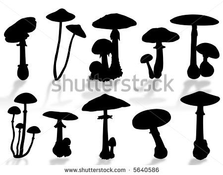 Mushroom Silhouette, Fungi Images, Shadow Silhouette, Plant Fungus, Forest Illustration, Silhouette Illustration, Animal Silhouette, Silhouette Portrait, Copyright Free