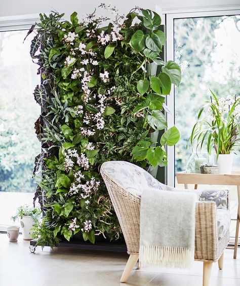 The Living plant wall is one of the hottest new gardening trends of 2018. Create your own piece of plant heaven with this step-by-step guide from Dobbies Plants On The Wall, Living Wall Indoor, Living Wall Planter, Indoor Plant Wall, Vertical Garden Indoor, Gardens Of Babylon, Interior Boho, Plant Wall Decor, Living Room Plants