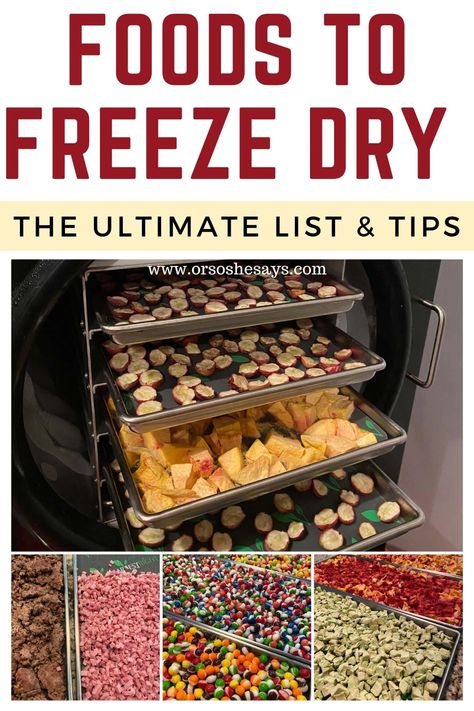 Foods You Can Put In Your Freeze Dryer ~ The Ultimate List & Tips - Or so she says... Freeze Dry Food, Freeze Dried Food Storage, Freeze Dried Vegetables, Harvest Right Freeze Dryer, Best Freeze Dried Food, Freeze Dryer, Dry Snacks, Dry Food Storage, Freeze Dried Fruit