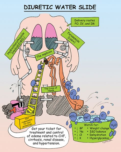 Diuretics Pharmacology, Nursing Pharmacology, Nursing Information, Nursing Board, Nursing Mnemonics, Pharmacy School, Medical Student Study, Pharmacology Nursing, Nursing School Survival