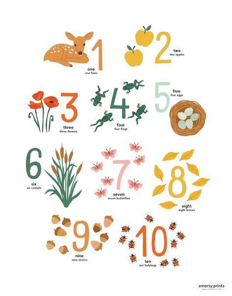 Educational Poster Design Inspiration, Abc Prints, Numbers Spelling, Counting Poster, Numbers Illustration, Preschool Posters, Nature Nursery, Homeschool Nature, Numbers Poster