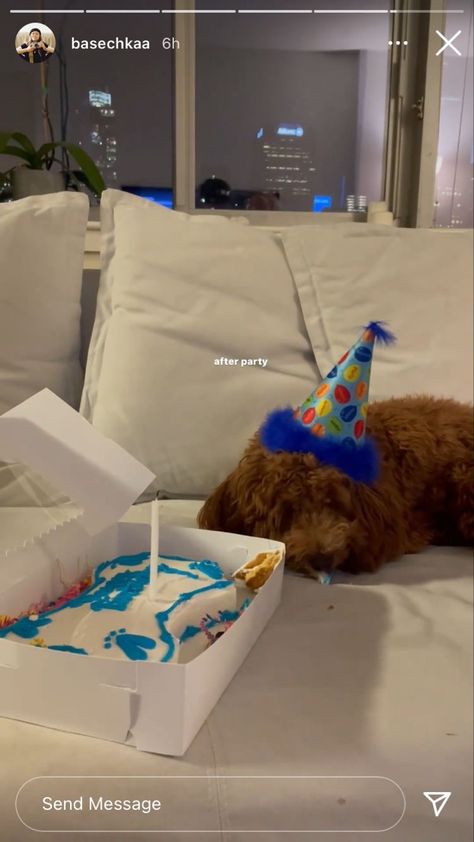 Birthday Aesthetic, Dog Mommy, Goldendoodle Puppy, Dog Mama, Dog Birthday, Sweet Animals, Future Life, Baby Dogs, Dog Photos