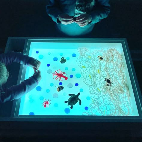 Find the Little Mind: Lights, camera... PLAY! 5 Simple Light Box Activities for Kids Light Box Activities, Box Activities, Camera Lights, Solar Light Crafts, Play 5, Light Boxes, Ocean Activities, Dog Light, Sensory Room