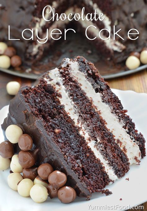 Chocolate Layer Cake with Cream Cheese Filling - most amazing cake I have ever made! Cream Cheese Layer Cake, Filling Cake, Cake With Cream Cheese Filling, Layer Cake Filling, Torte Cupcake, Chocolate Layer Cake, Chocolate Cream Cheese, Cream Filling, Best Chocolate Cake