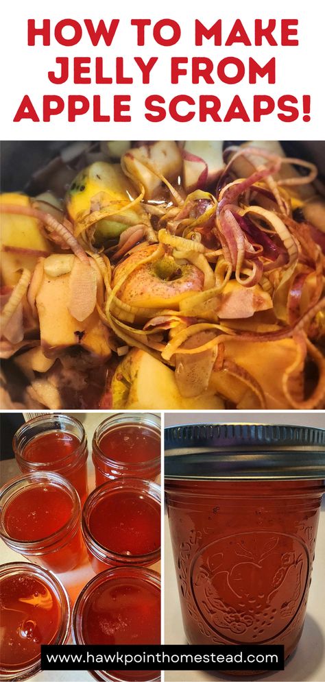 his apple scrap jelly recipe for canning is a delicious jelly recipe made from the scraps, apple peels and apple cores, that are left when preparing apples for other recipes, such as apple pie filling. It is also called apple peel jelly. The jelly has a great flavor and turns out a beautiful color! Homemade jellies are so great to give as thoughtful gifts. How To Make Apple Jelly From Apple Peels, Caramel Apple Jelly, Scrap Apple Jelly, Apple Peel Jelly Recipe, Apple Jelly From Peels And Cores, Apple Peels What To Do With, Apple Scraps Recipes, Apple Jelly Recipe Canning, Apple Scrap Jelly Recipe