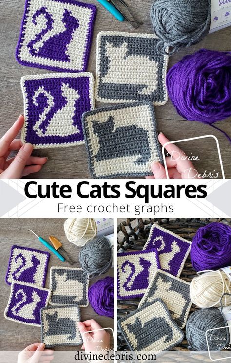 Cozy Hobbies, Crochet Cats, Kat Haken, Friends Crochet, Motifs Granny Square, Squares Crochet, Night Activities, Graph Patterns, Crochet Graph