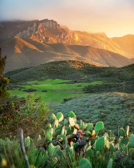 Oh Mt. Boney. Paradise Falls, Newbury Park, Santa Monica Mountains, Stucco Homes, Ventura County, California Love, California Homes, Santa Monica, Home For Sale