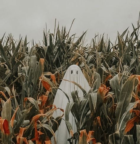 A Ghost, Lightroom Presets, Lightroom, Ghost, Halloween