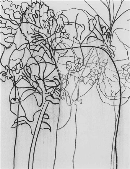 Artwork by Gary Hume, Untitled, Made of charcoal on canvas Botanical Art Drawing, Gary Hume, Line Drawings, Still Life Drawing, Artist Models, Plant Drawing, Model Paint, Global Art, Natural Forms