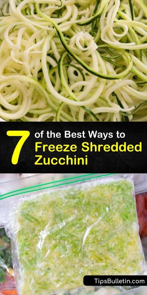 Freeze Shredded Zucchini, Shredded Zucchini Recipes, Frozen Zucchini, Cooking Knowledge, Freezing Zucchini, Freezing Vegetables, Zucchini Bites, Zucchini Recipes Healthy, Shredded Zucchini