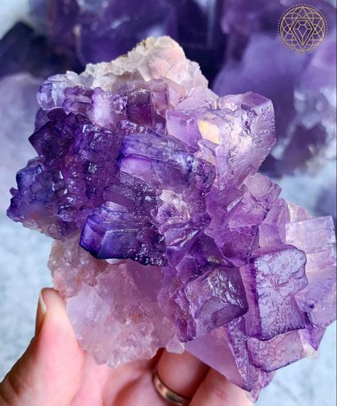 Purple Fluorite, Alan Walker, Minerals And Gemstones, Rocks And Gems, Mother Nature, Gems, Gemstones, Crystals, Purple