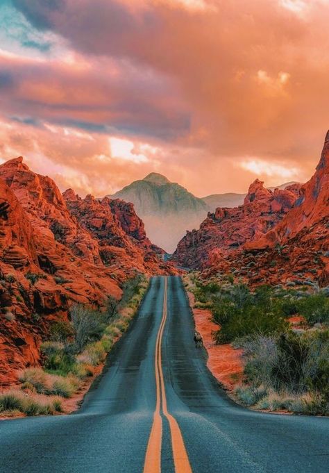 Empty Road, Valley Of Fire State Park, Valley Of Fire, In The Desert, The Desert, State Park, Road, Pink