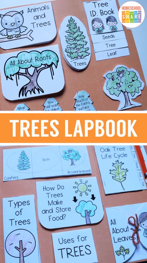 Free Trees Unit Study & Lapbook - Homeschool Share Tree Unit Study Kindergarten, Tree Unit Study, Plant Lap Book, Tree Unit, Tree Activities, Creative Curriculum Preschool, Tree Life Cycle, Plants Kindergarten, Curriculum Preschool