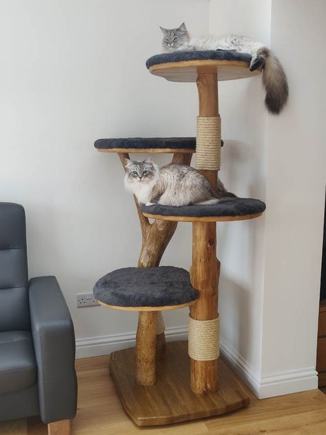 Cat Trees Homemade, Cat Scratcher Tree, Luxury Cat Tree, Wooden Cat Tree, Diy Cat Tree, Modern Cat Furniture, Modern Cat Tree, Cat Towers, Cat Sanctuary