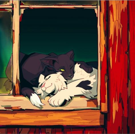 Cats Tumblr, Warrior Cats, Barley, Discover Yourself, Express Yourself, A Place, Deviantart, Tumblr, Black