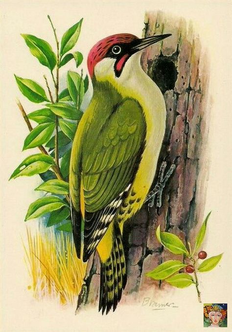 Pencil Colour Painting, Bird Painting Acrylic, Bird Paintings On Canvas, Modern Art Canvas Painting, Parrots Art, Landscape Art Painting, Watercolor Landscape Paintings, Indian Art Paintings, Nature Art Painting