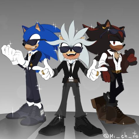 Sonic Underground, Shadow Sonic, Classic Sonic, Silver The Hedgehog, Sonic And Amy, Sonic Funny, Sonic Fan Characters, Sonic Franchise, Sonic 3