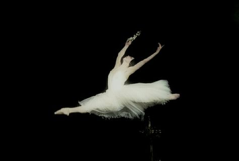 Ballet White Aesthetic, Pc Black Wallpaper, I Just Wanna Be Perfect, Dark Ballet Aesthetic, Swan Lake Aesthetic, Lia Volkov, Deception Trilogy, Ballet Wallpaper, Dark Swan