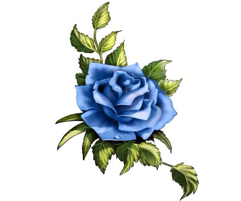 Blue rose tattoo Blue Rose Drawing, Blue Rose Painting, Rose Tat, Blue Rose Tattoos, Rose Sketch, Rose Tattoo Design, Rose Drawing, Celtic Tattoos, Roses Drawing