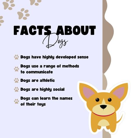 Dog Fun Facts, Dog Boutique Ideas, Dog Throwing Up, Fun Facts About Dogs, Facts About Dogs, Meds For Dogs, Athletic Dogs, Fun Fact Friday, House Gate