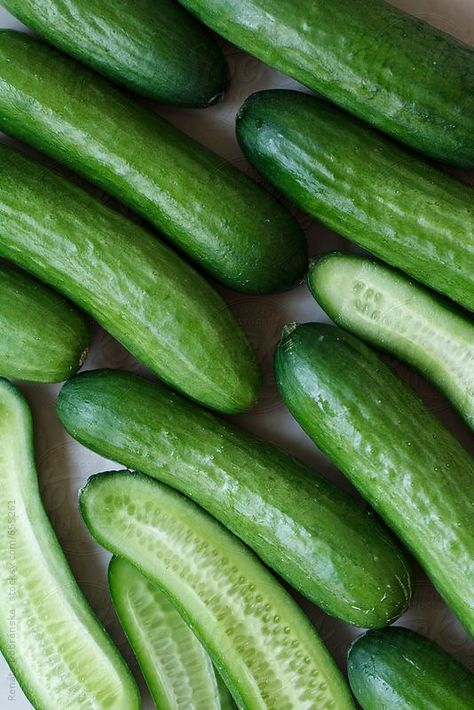 Fruits And Vegetables Pictures, Cucumber Canning, Vegetables Photography, Vegetable Pictures, Fruit Photography, Green Vegetables, Fruit And Veg, Fresh Vegetables, Fresh Produce