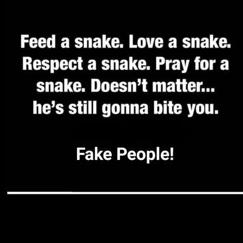 Fraud People Quotes, Fraud Quotes, Snake Relatives Quotes, Sneaky Snake Quotes, Quotes About Snakes People, Fraud Quote, Fake People, Instagram Quotes Captions, Spot On