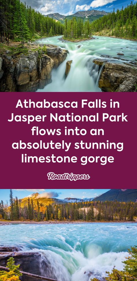 Athabasca Falls in Jasper National Park flows into an absolutely stunning limestone gorge #nationalpark #athabasca #waterfalls #mesmerizing Athabasca Falls, Rv Destination, Destination Vacation, Canada Vacation, Icefields Parkway, National Park Camping, Travel America, Jasper National Park, Canada Road Trip