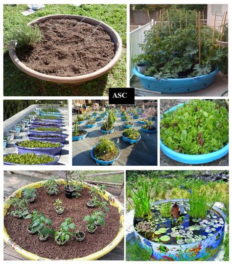 Make a garden or pond out of kiddie pools. I will gladly take that old kiddie pool off of anyone's hands! Kiddy Pool, Raised Garden Beds Diy Vegetables, Wading Pool, Veggie Gardens, Container Garden Design, Backyard Garden Landscape, Raised Garden Beds Diy, Pool Garden, Kiddie Pool