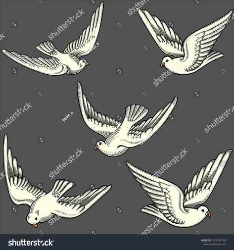 Illustration of flying doves in different positions.Hand drawn contoured pigeon. Hand drawn of flying doves with love letters isolated on grey. Retro,vintage detailed image done in black line strokes #Ad , #affiliate, #contoured#drawn#love#pigeon Peace Dove Illustration, Flying Doves, Woodcut Illustration, Drawing Letters, Black Line, Graphics Inspiration, Old Love, Pigeon, Detailed Image