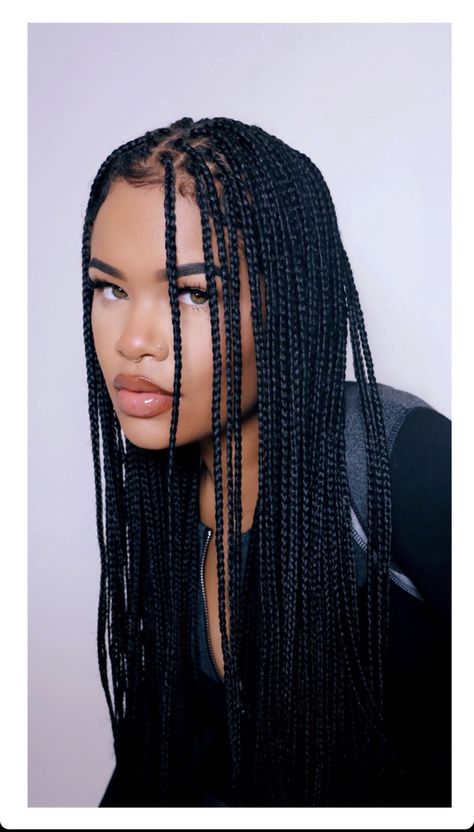 Knotless Braids Hairstyle, Traditional Box Braids, Arnell Armon, Small Box Braids Hairstyles, Black Box Braids, Small Box Braids, Cute Box Braids, Individual Braids, Medium Box Braids