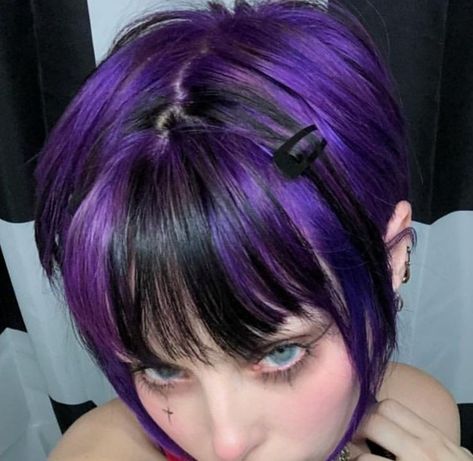 Unique Mid Length Hairstyles, Purple And Black Hair Aesthetic, Black And Colored Hair Short, Violet Dyed Hair, Violet And Black Hair, Hair Dye Section Ideas, Violet Hair Aesthetic, Purple Alt Hair, Hair Color Ideas Violet