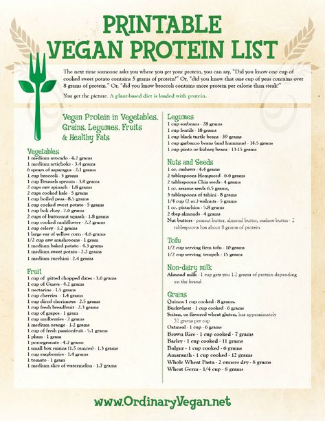 Protein List, Protein Guide, Plant Based Protein Sources, Vegan Food List, Vegan Diet Recipes, Homemade Trail Mix, Tote Crochet, Vegan Nutrition, Food Charts