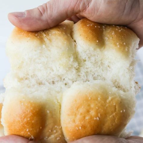 Gluten-Free Yeast Dinner Rolls - The Savory Celiac Gluten Free Rolls Bread Machine, Gluten Free Bread Machine Rolls, Gluten Free Yeast Rolls, Yeast Dinner Rolls, Fodmap Meals, Gluten Free Dinner Rolls, Gluten Bread, Gluten Recipes, Gluten Free Rolls