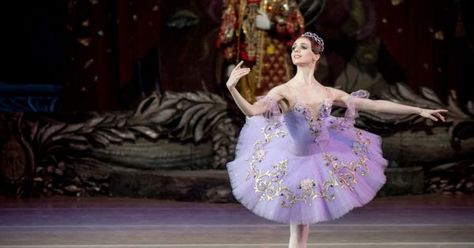 Olga Skripchenko as - Olga Skripchenko as Lilac Fairy in The Sleeping Beauty --- #Theaterkompass #Theater #Theatre #Tanztheater #Ballett Sleeping Beauty Ballet Lilac Fairy, Sleeping Beauty Ballet Fairies, Lilac Fairy Costume, Lilac Fairy Tutu, Lilac Fairy Ballet, Semi Eita, Sleeping Beauty Ballet, Lilac Fairy, Cinderella Aesthetic